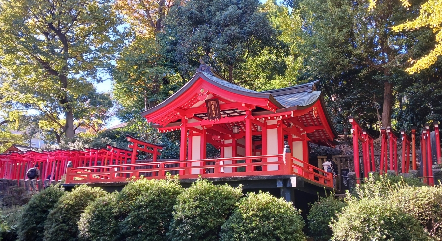 根津神社 乙女稲荷神社