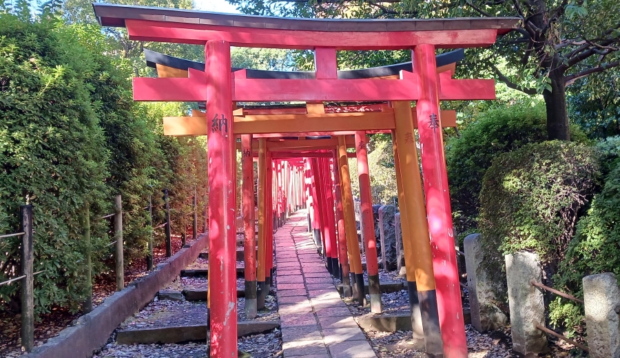 根津神社の千本鳥居