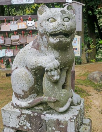 金刀比羅神社の狛猫