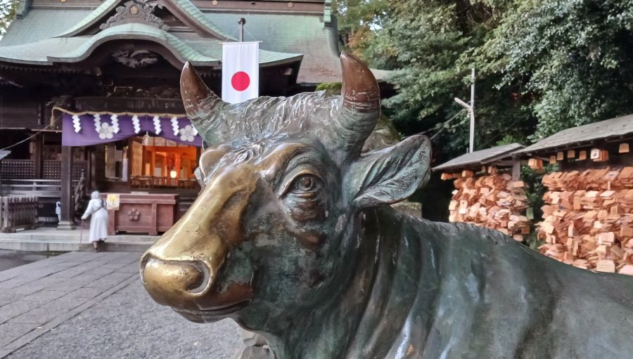 谷保天満宮 神使の撫で牛