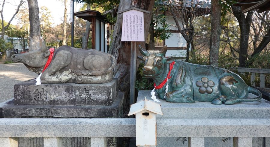 天満宮の座牛