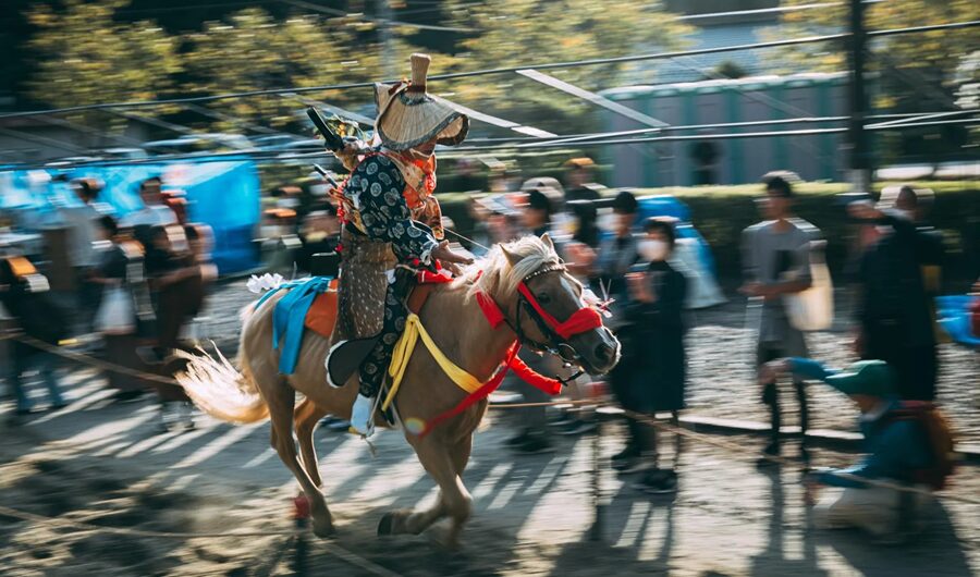 神社の馬