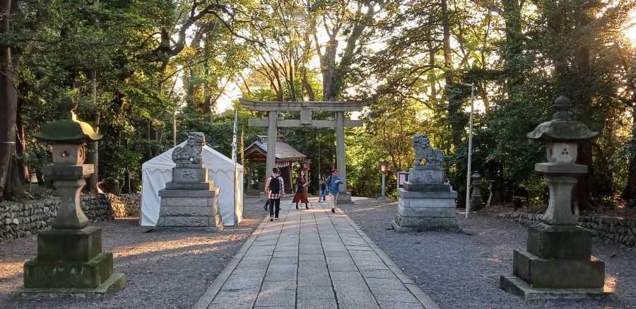 谷保天満宮 参道途中の狛犬