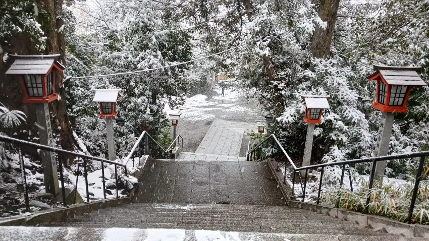 谷保天満宮 雪化粧 下り宮の階段