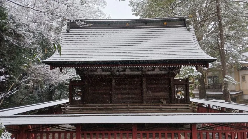 谷保天満宮 雪化粧 本殿裏