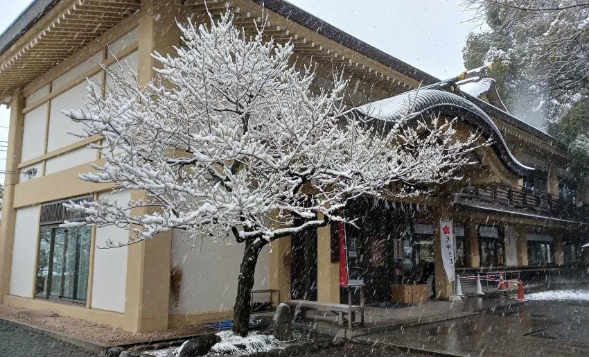 谷保天満宮 雪化粧 飛梅