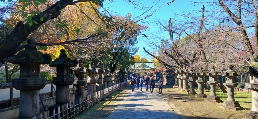 上野東照宮 石灯籠