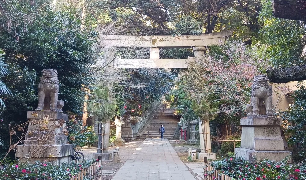 赤坂氷川神社 一の鳥居（東側）