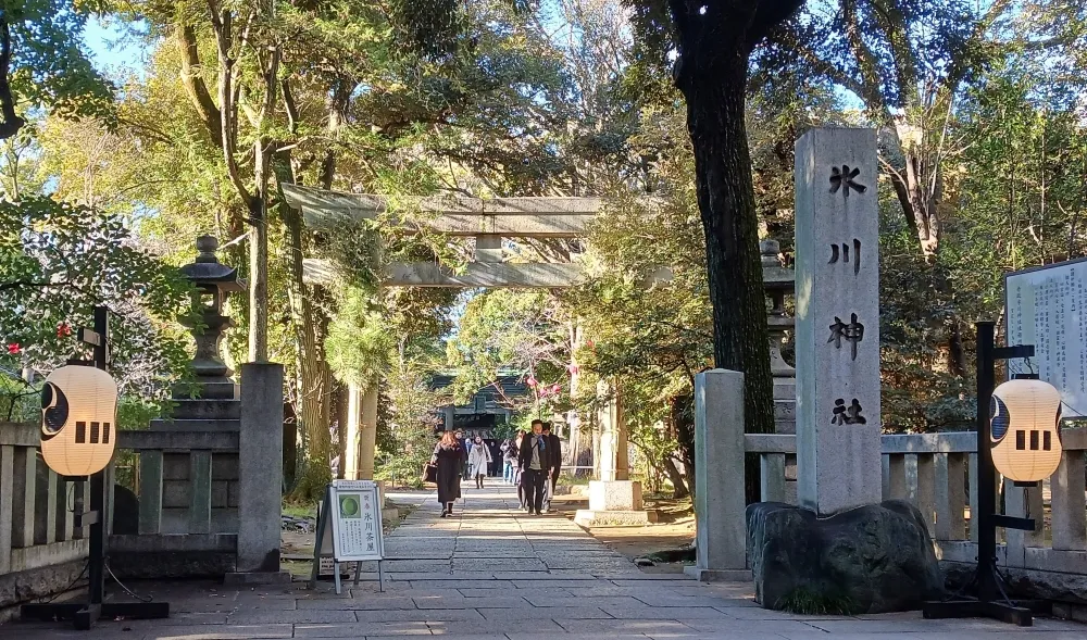 赤坂氷川神社 一の鳥居 南側