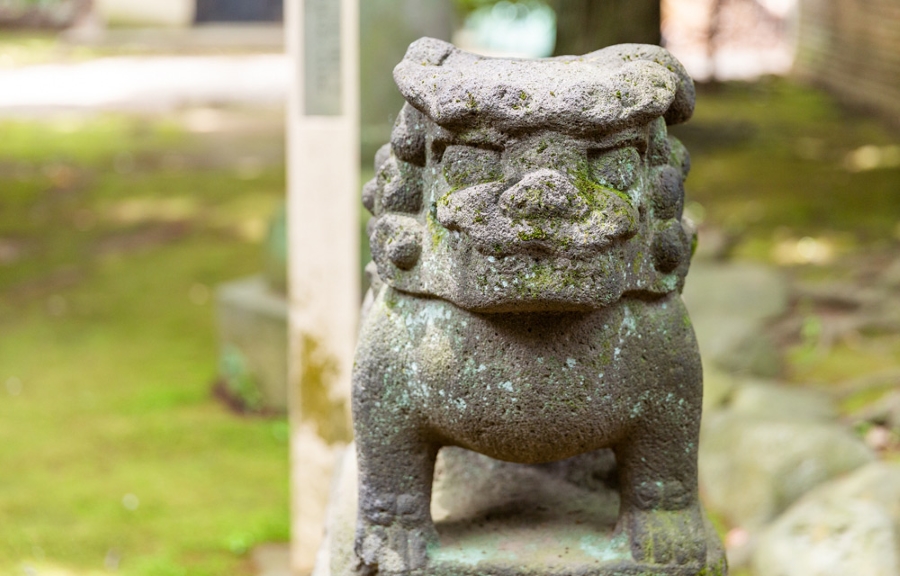 赤坂氷川神社 狛犬