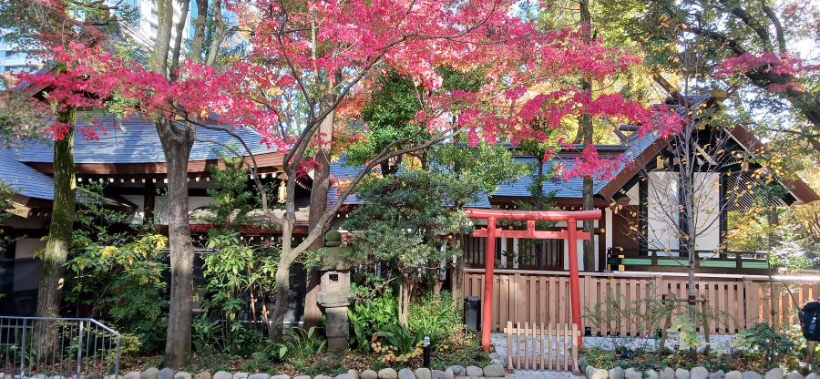 愛宕神社の権現造り