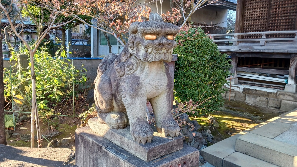 白山神社 狛犬