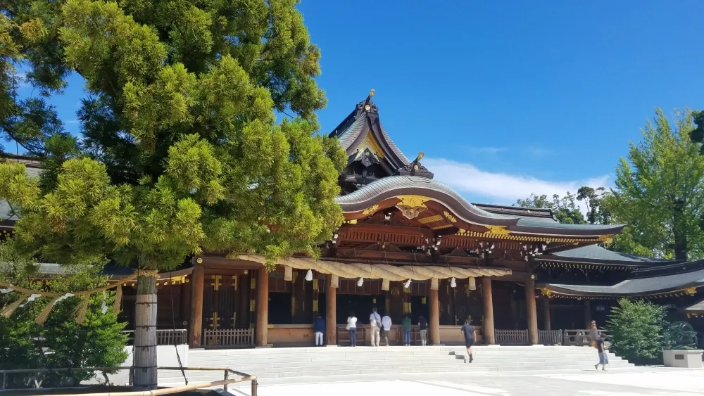 寒川神社 社殿と御神木