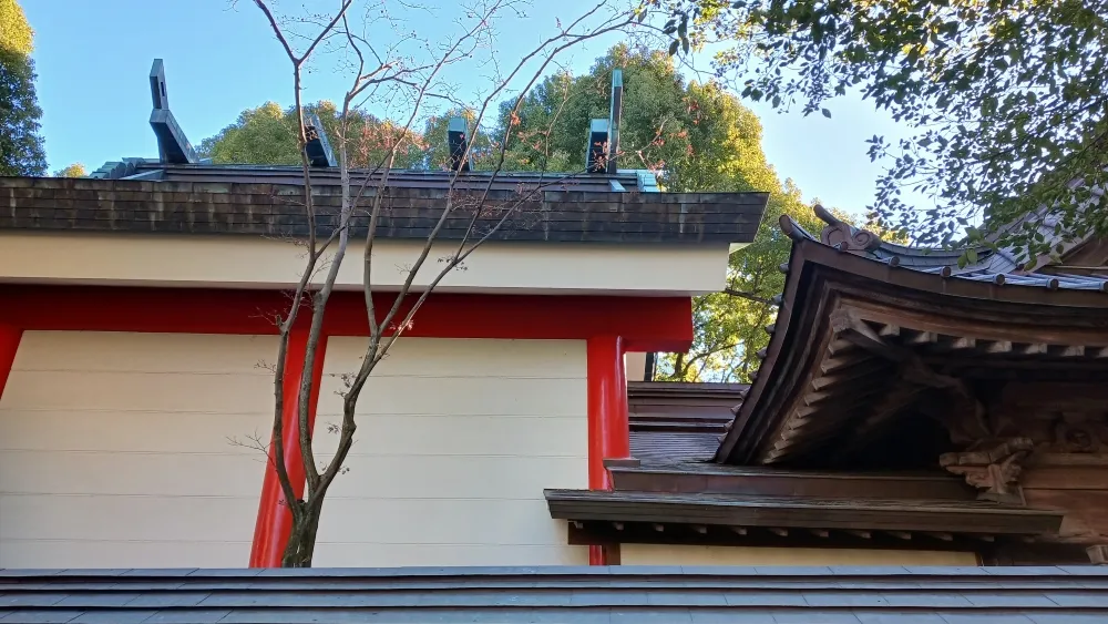 田無神社 本殿の覆殿