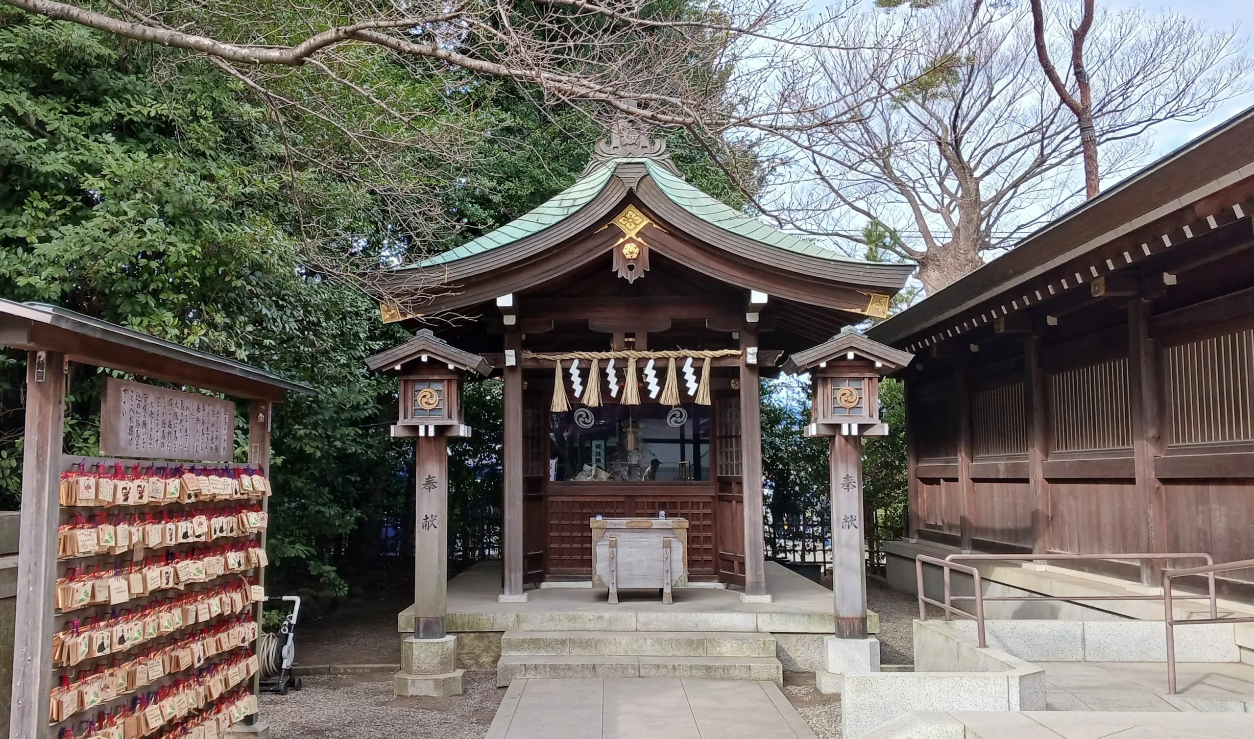 寒川神社 神馬