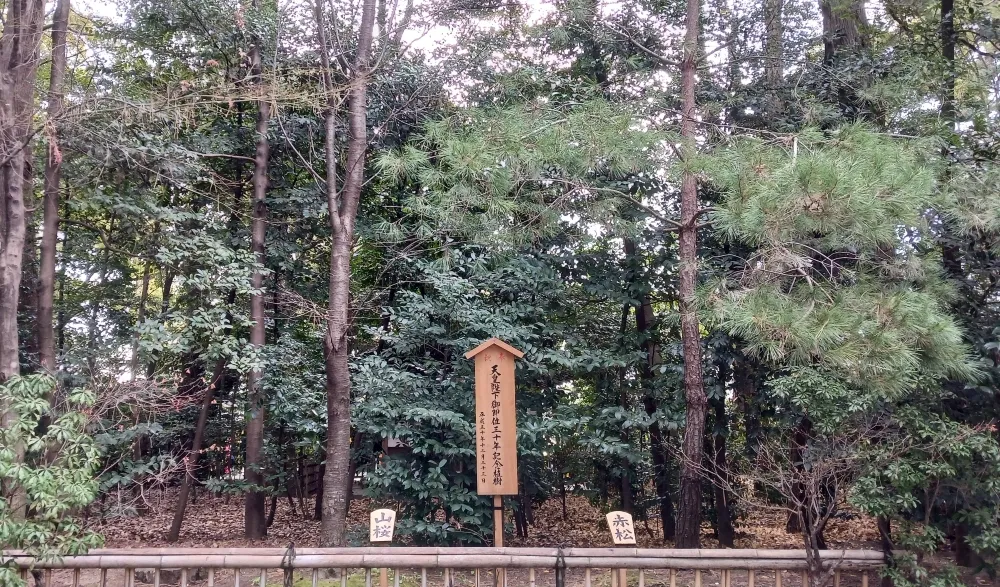 寒川神社 平成天皇御即位30周年植樹