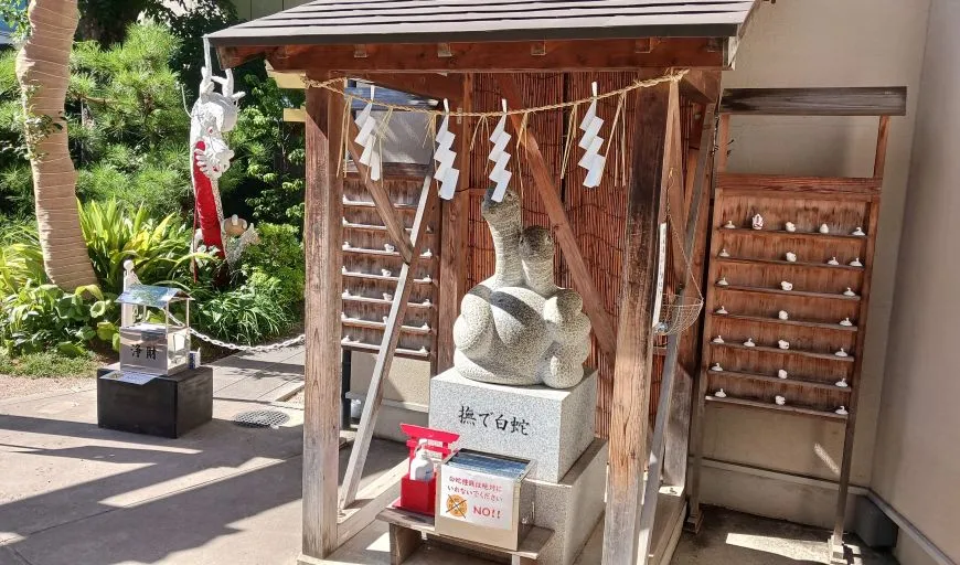 蛇窪神社 撫で白蛇