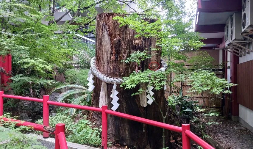 秩父神社 新パワースポット