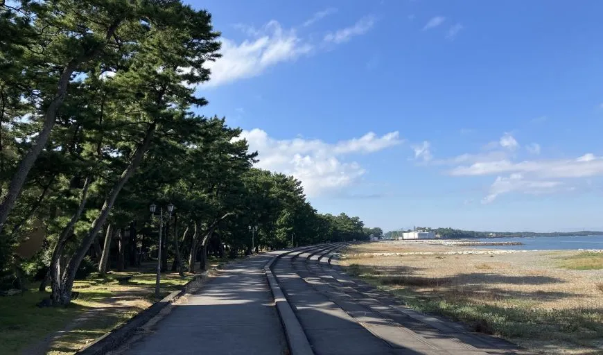 二見興玉神社 夫婦岩表参道