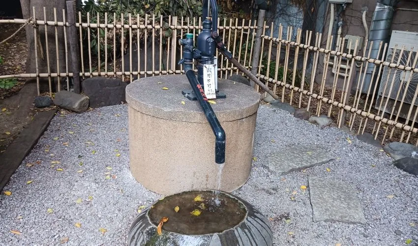 花園神社 井戸