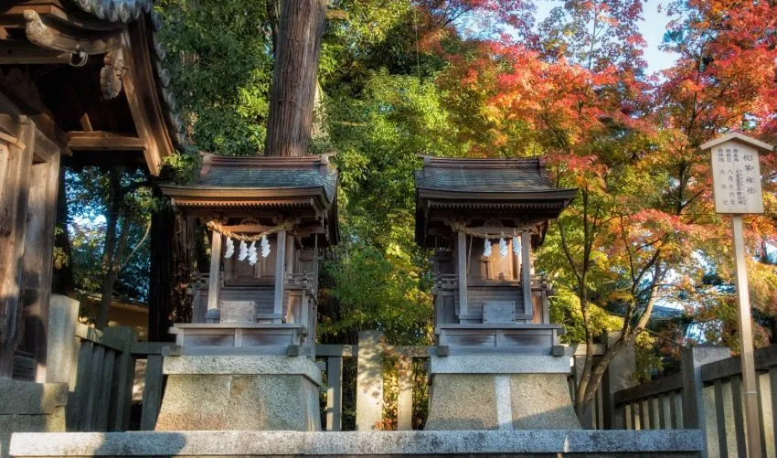 多賀大社 愛宕神社 秋葉神社