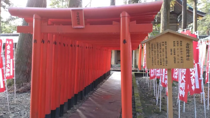 多賀大社 金咲稲荷神社