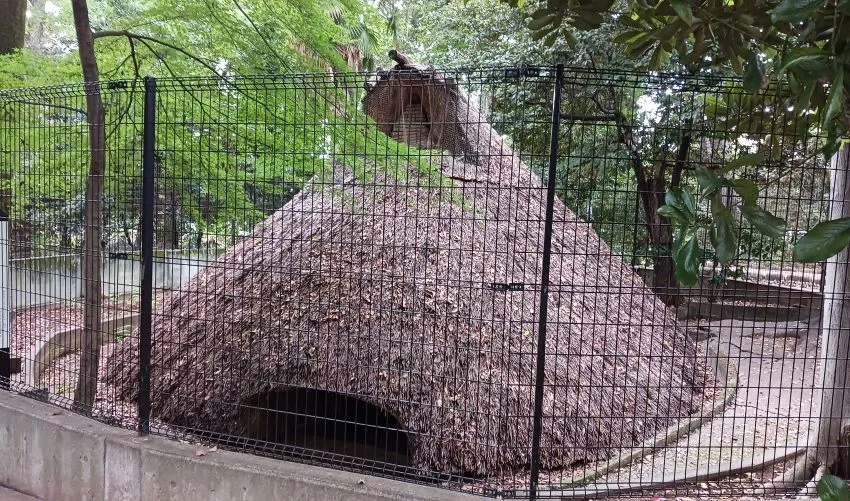 代々木八幡宮遺跡 竪穴住居