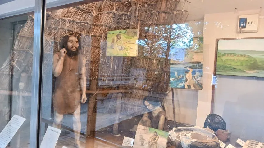 代々木八幡 遺跡出土品陳列館