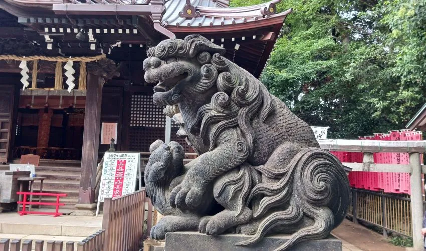 代々木八幡宮 阿形狛犬