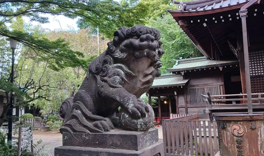 代々木八幡宮 吽形狛犬