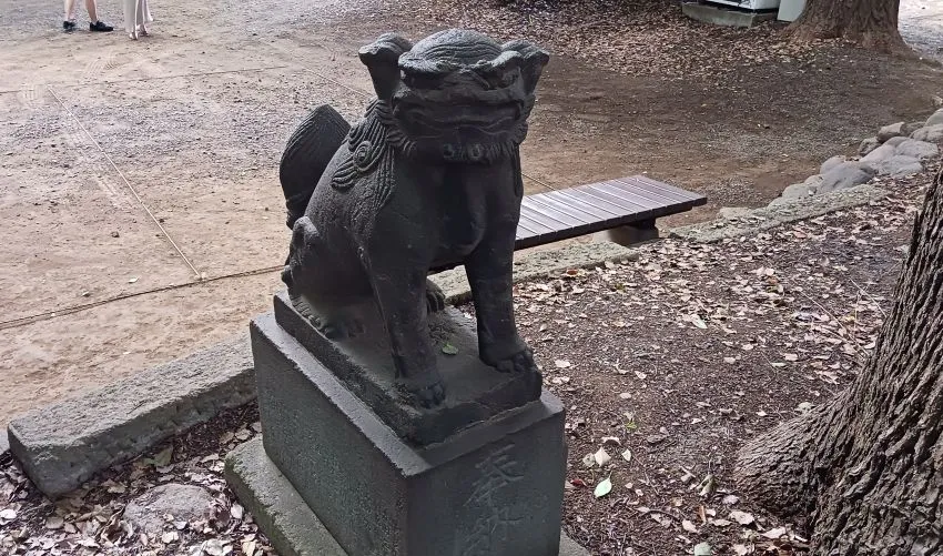 代々木八幡宮 参道途中 狛犬