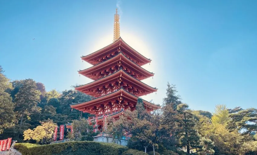 高幡不動尊 五重塔