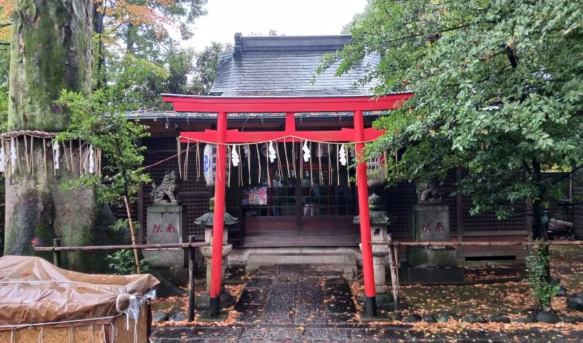 武蔵野八幡宮 7つの末社