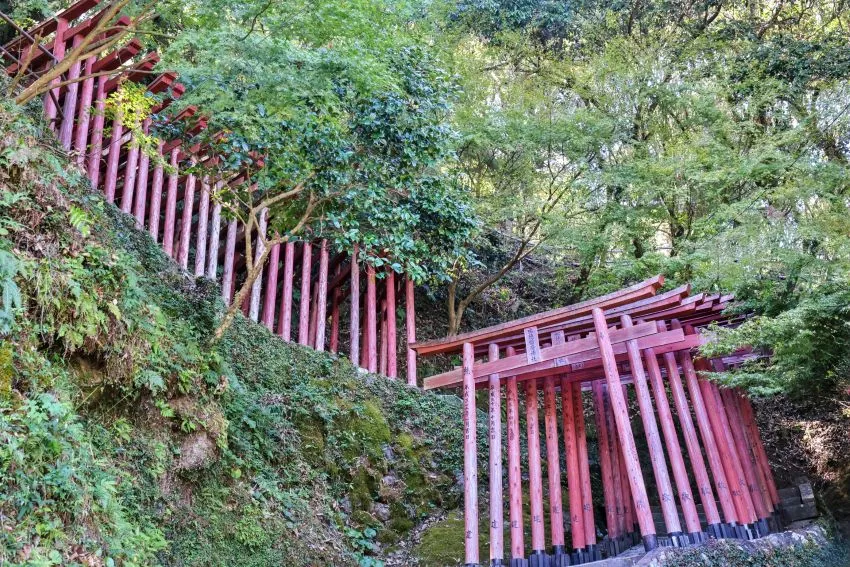 祐徳稲荷神社 千本鳥居