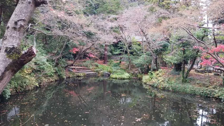 鶴岡八幡宮 柳原神池