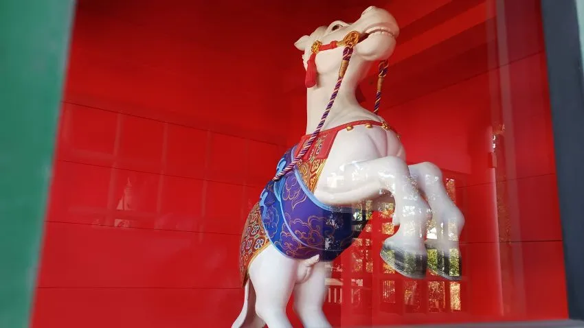 穴八幡宮 白馬 神馬