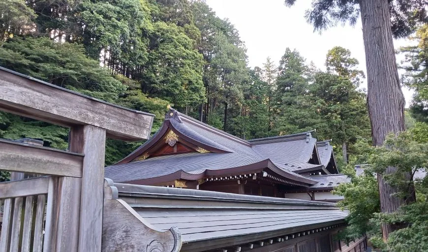 高麗神社 本殿