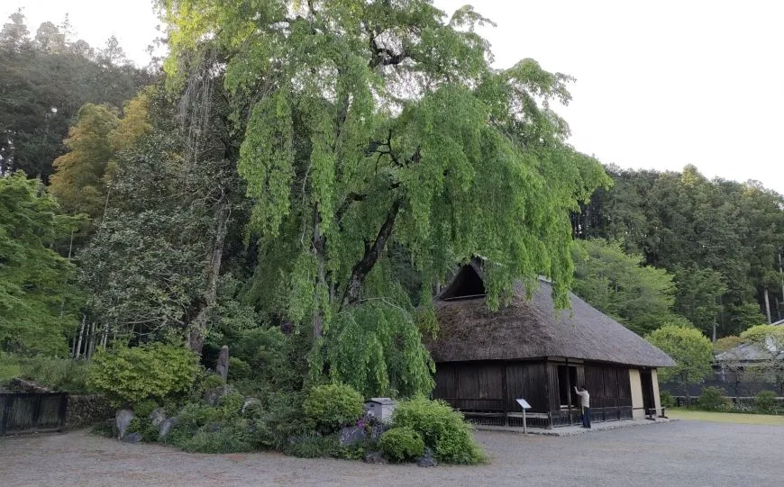 高麗神社 高麗家住宅