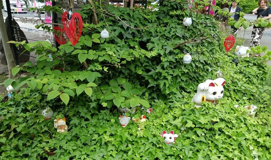 今戸神社 縁結び猫