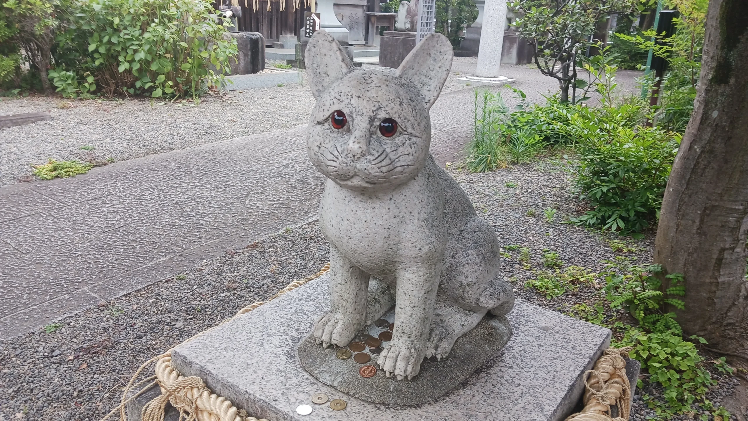 おかえり猫 猫返し神社