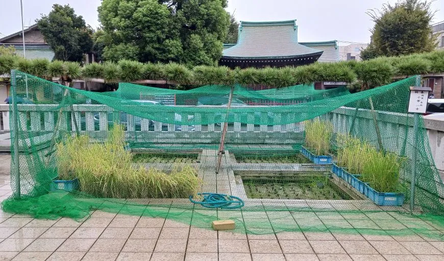 穴守稲荷神社 神田