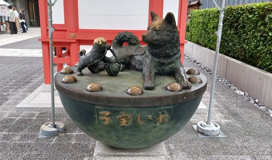 水天宮 子宝いぬ